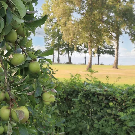 Hébergement de vacances Iii Stubbekøbing